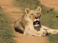 Stof-fel Photographic Tours
