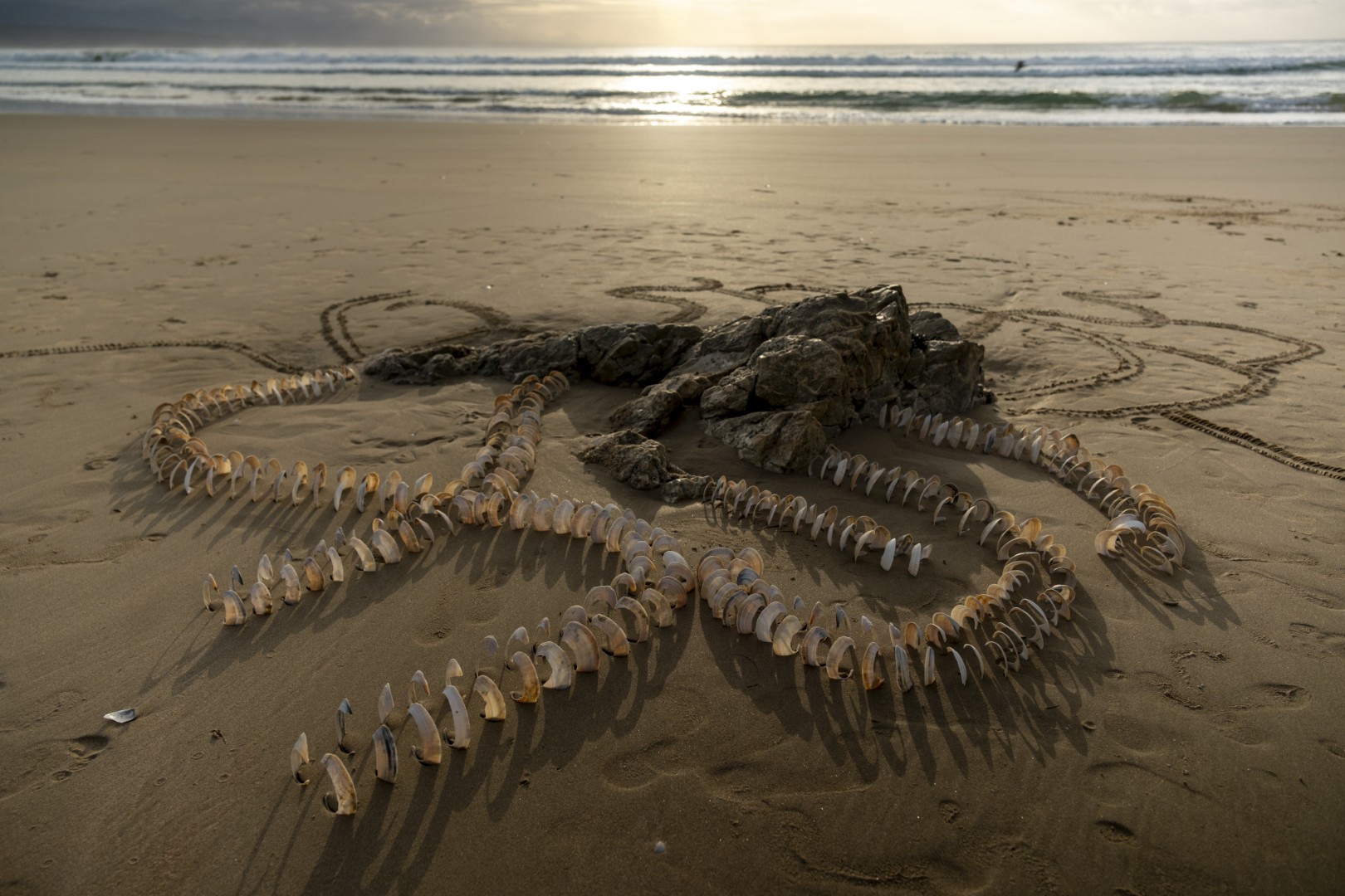 Land Art Route Plett Art Residency Artist Shayla Faye Watson. Photo by Daron Chatz