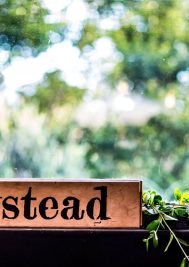 Newstead secures rare top honour at Michelangelo Awards